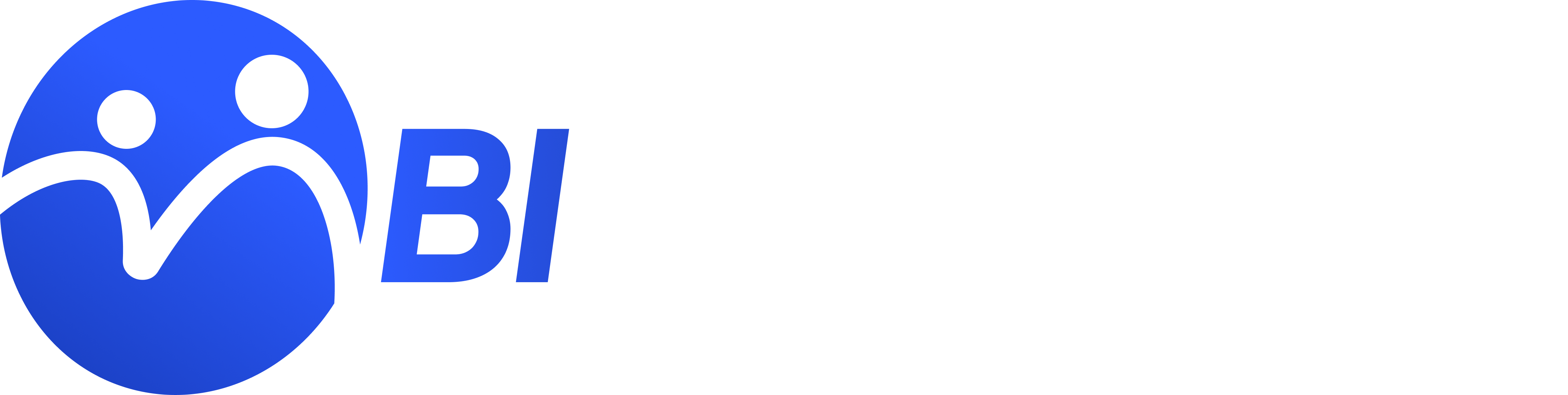 BiConnect Logo